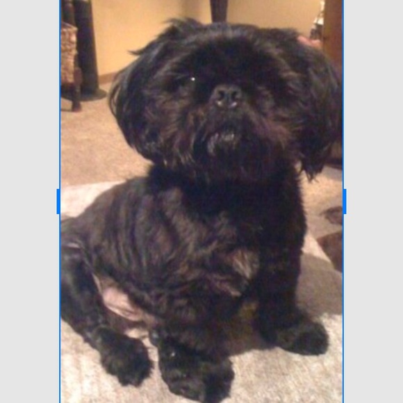 Meet your Posher, Kim - Picture 5 of 7